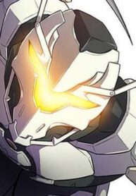 6081